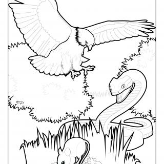 Line drawing of a bird, a snake, and a mouse in a marsh habitat